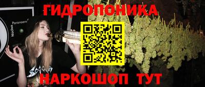 Альфа ПВП Ликино-Дулёво