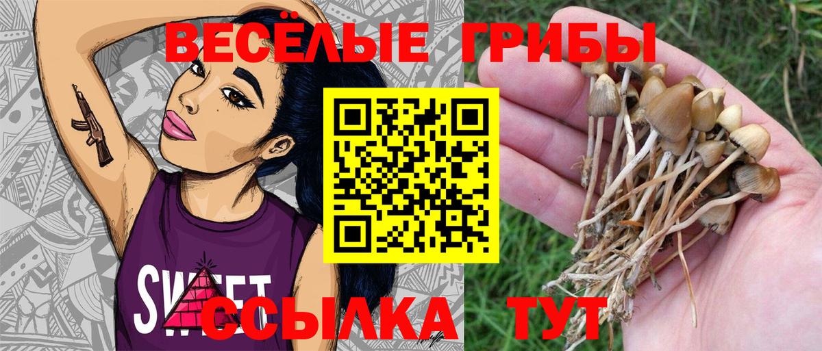 Псилоцибиновые грибы GOLDEN TEACHER  Вход с VPN  хочу наркоту  Псилоцибиновые грибы ЛСД  Гурьевск 